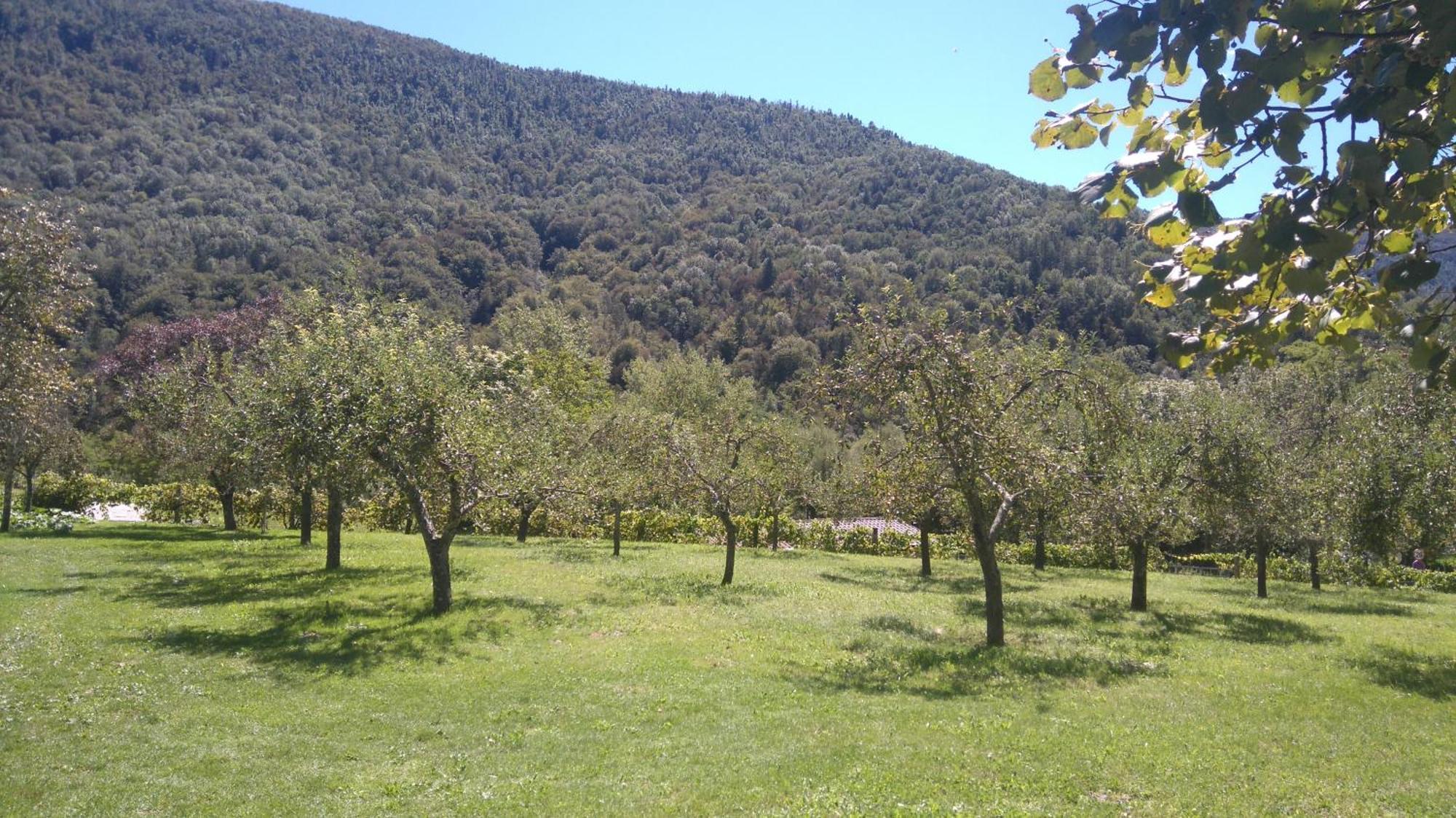Apartment Losc - Podbela Breginj Εξωτερικό φωτογραφία